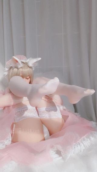 《苍兰诀》电视剧免费观看