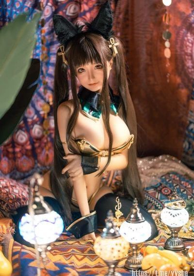 番茄视频在线观看