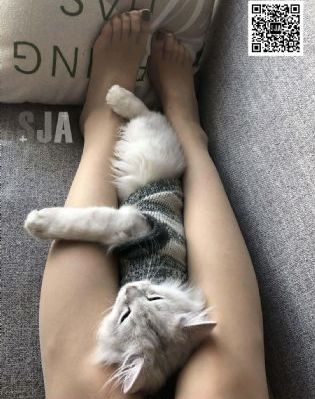 老公的春天
