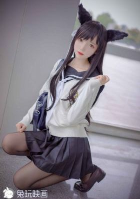 警花与警犬之再上征程