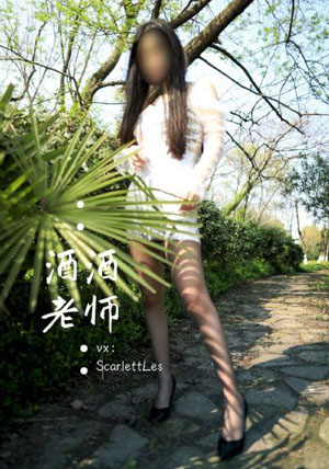 傲骨贤妻第四季