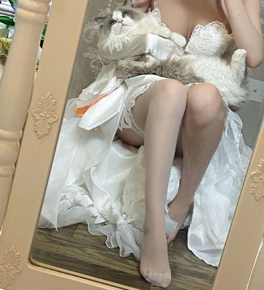 傲骨贤妻第三季