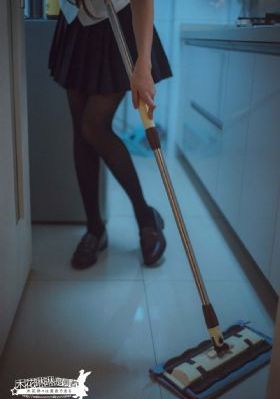 电视剧巡回检察组