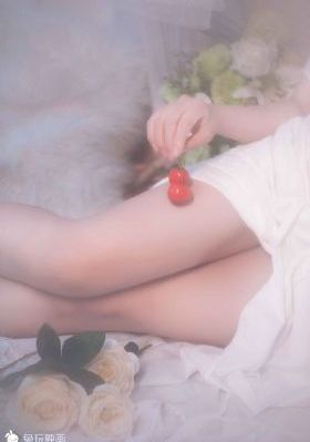完美伴侣