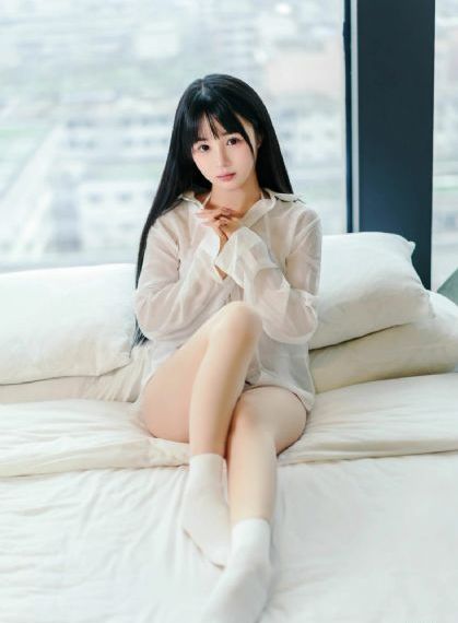 旧番剧拯救精灵森林免费观看