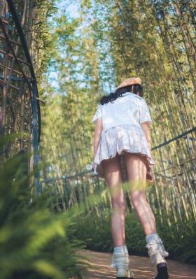 与君歌免费观看完整版电视剧全集