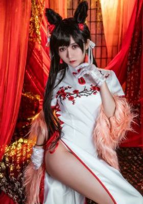妖狐苏妲己